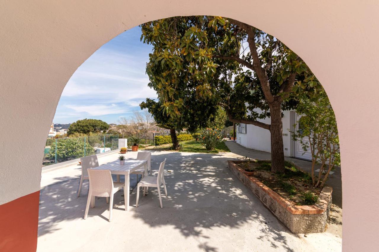 Casa Degli Aranci Βίλα Forio di Ischia Εξωτερικό φωτογραφία