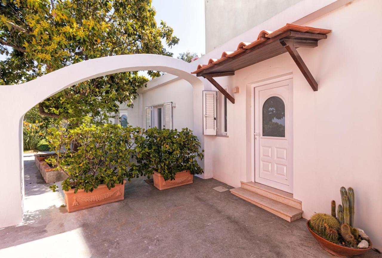 Casa Degli Aranci Βίλα Forio di Ischia Εξωτερικό φωτογραφία